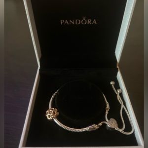 Pandora Charm Bracelet